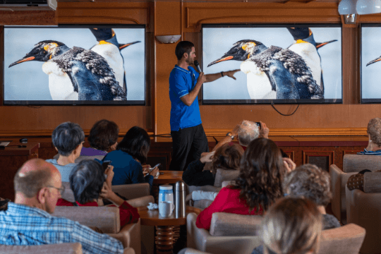 New Year in Antarctica